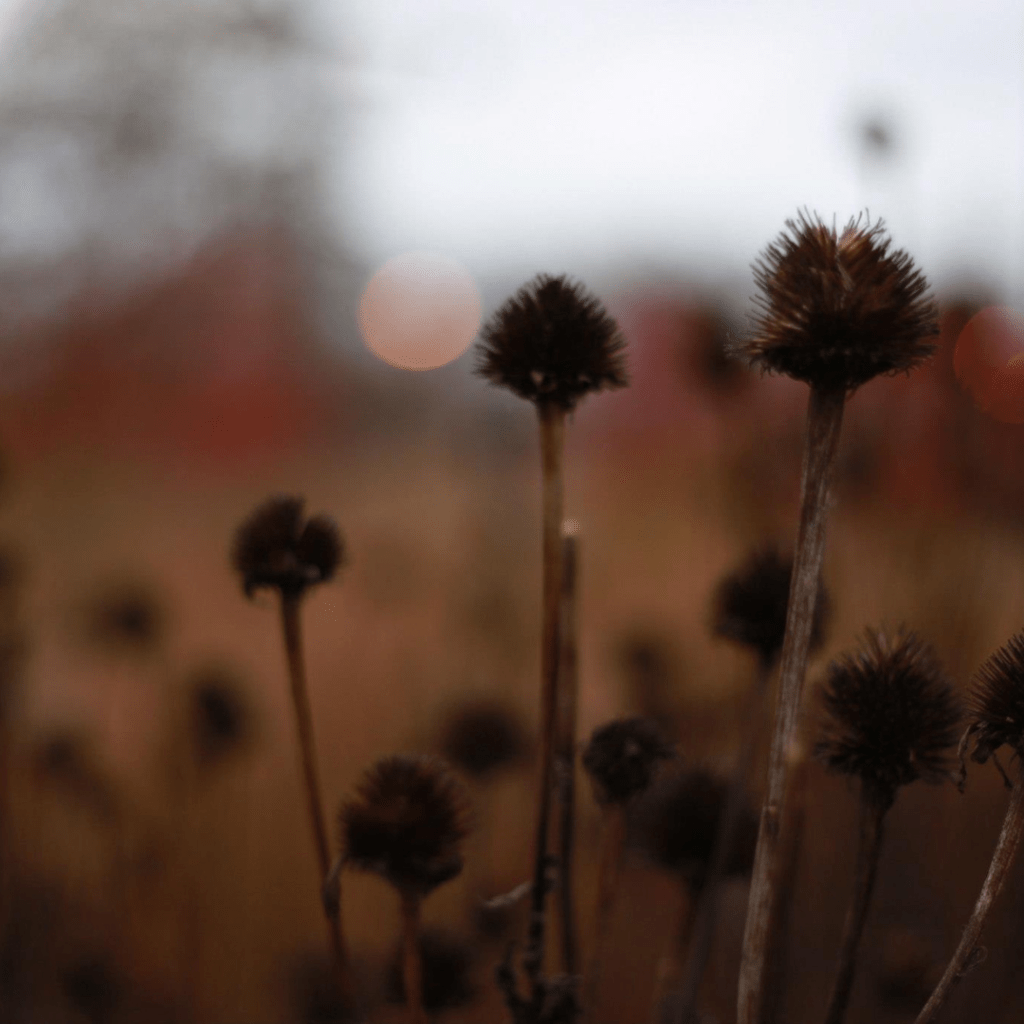 Understanding Domestic Violence: Key Actions to Take for your&nbsp;Community